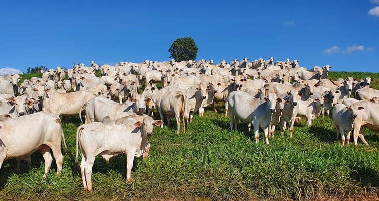 574762930_2192054117985670_5231559300079849158_n (1)