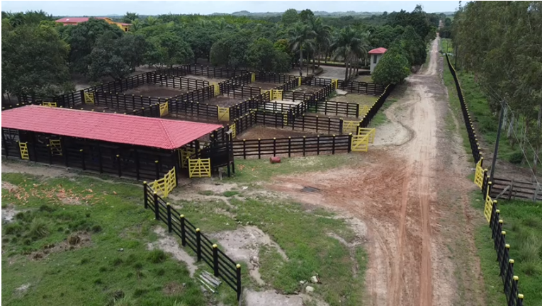 Captura de tela 2025-11-04 150913