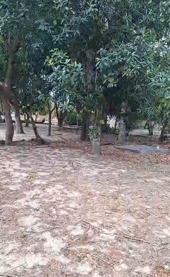 Captura de tela 2026-01-09 231308